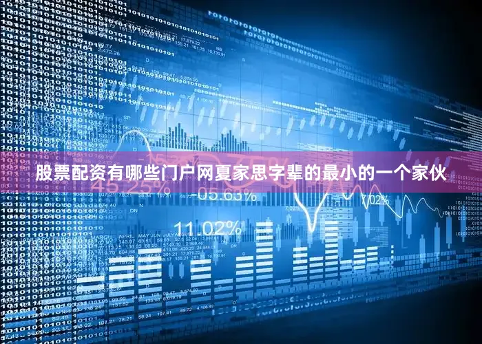 股票配资有哪些门户网夏家思字辈的最小的一个家伙